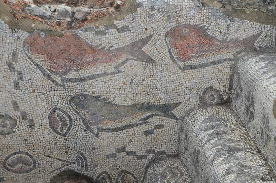 A Roman mosaic of fish and shells from the baths at Milreu