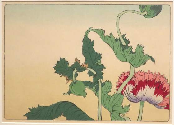 Shibata Zeshin's poppies